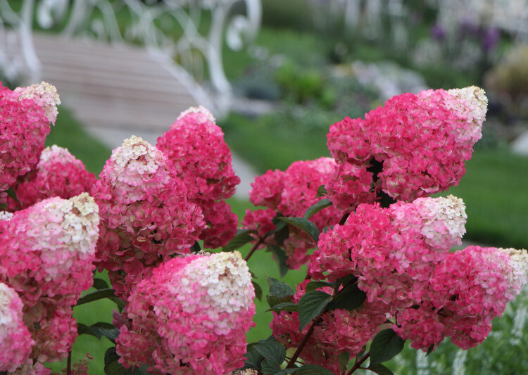 Latest Products Image